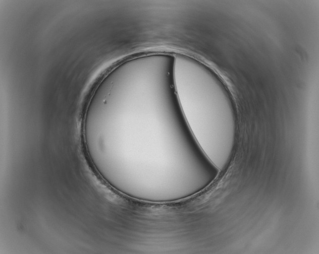 X0000111201416200907011020