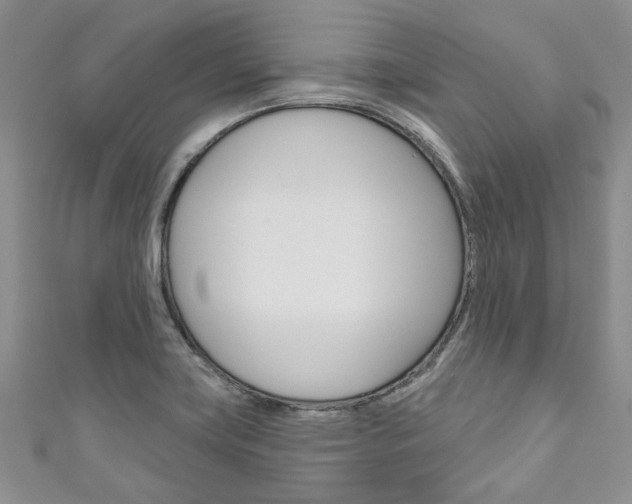 X0000111201419200907011020