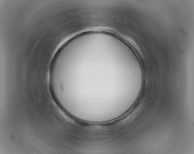 X0000111201420200907011020