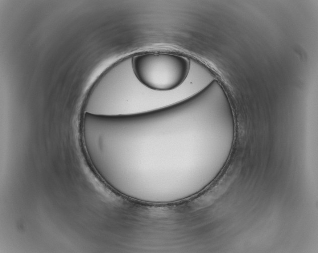 X0000111201422200907011020