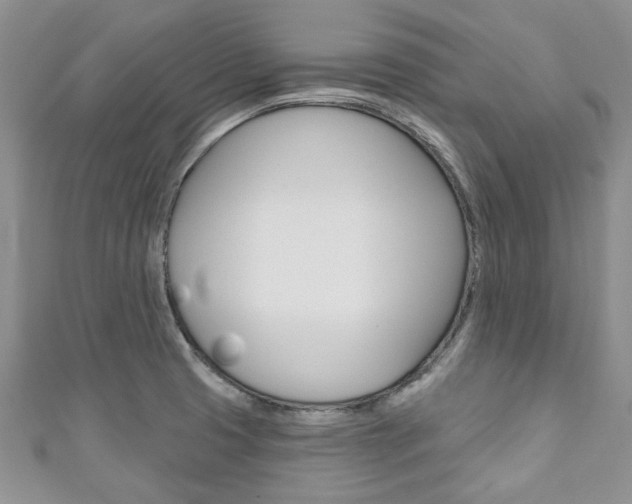 X0000111201425200907011020