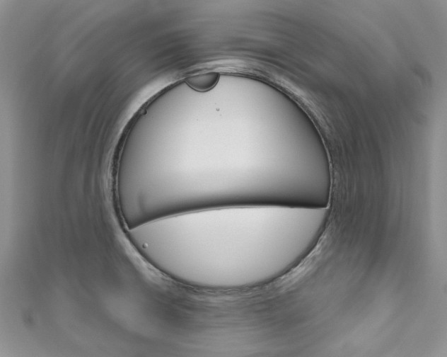 X0000111201426200907011020