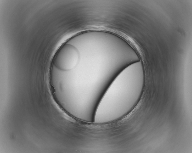 X0000111201432200907011020