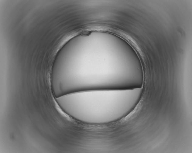X0000111201433200907011020