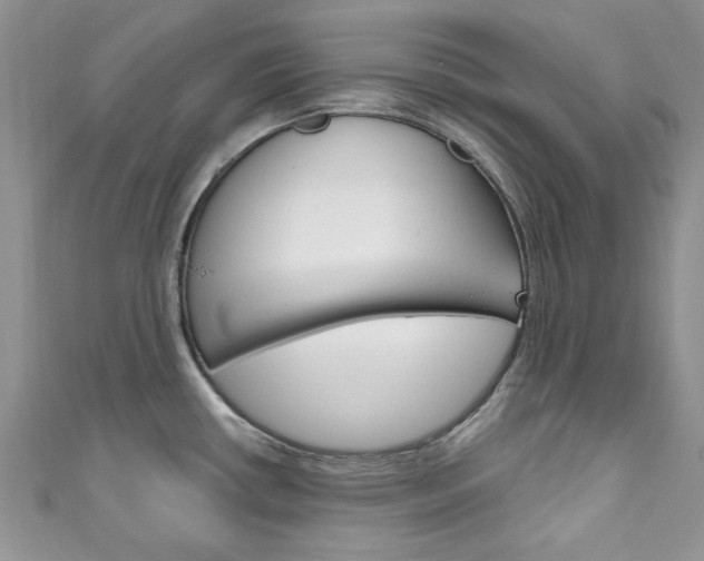 X0000111201434200907011020