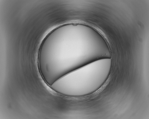 X0000111201438200907011020