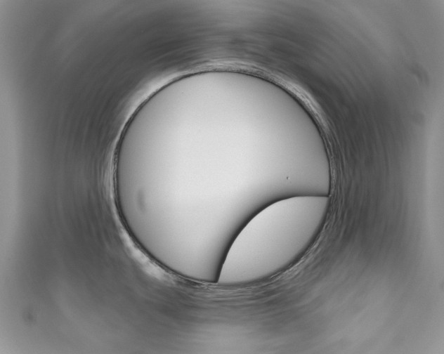 X0000111201439200907011020