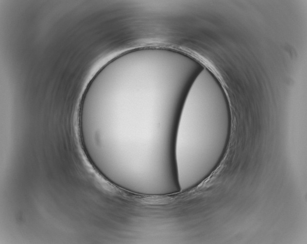 X0000111201440200907011020