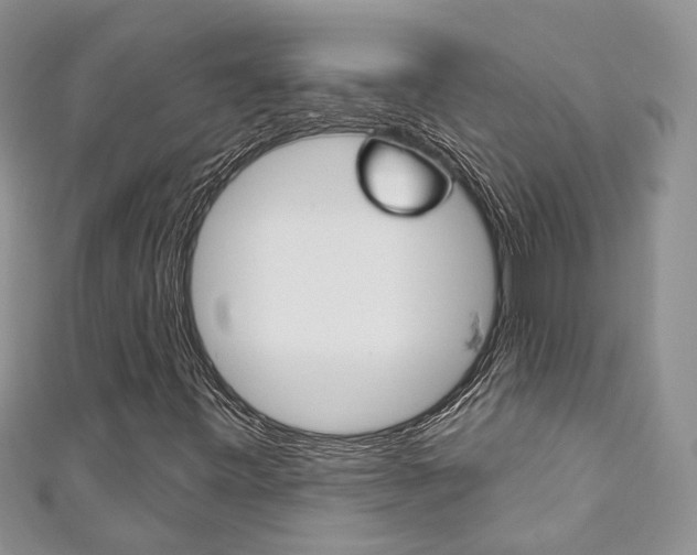 X0000111201443200907011020