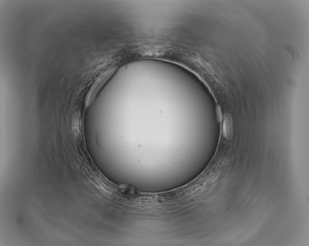 X0000111201444200907011020
