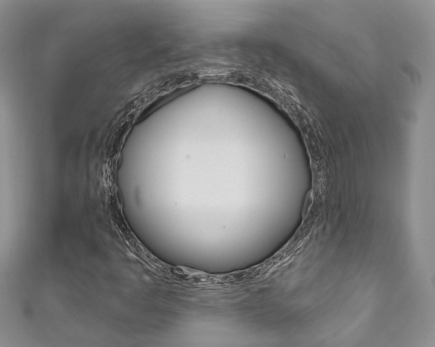 X0000111201445200907011020