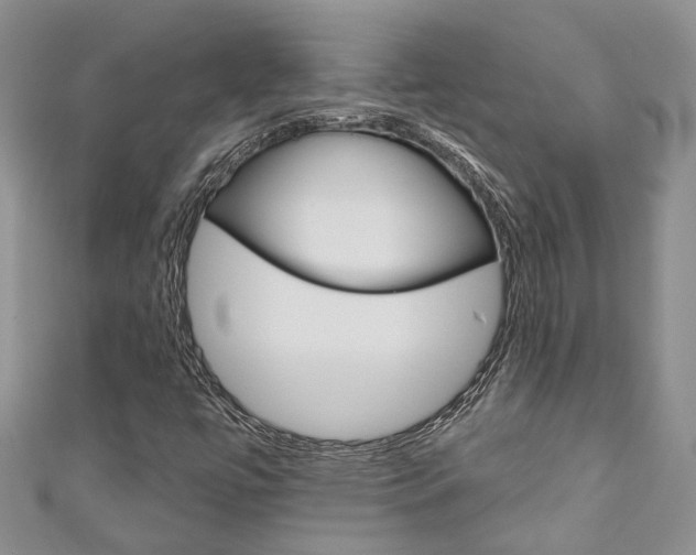 X0000111201447200907011020