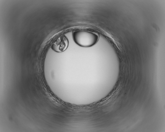 X0000111201448200907011020