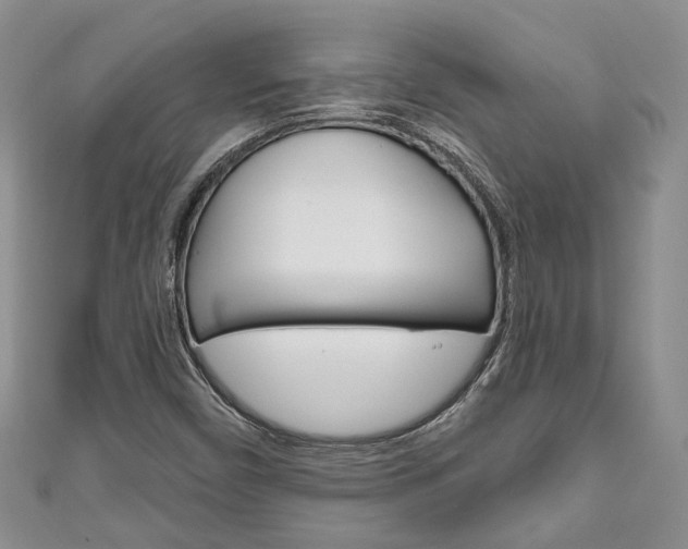 X0000111201450200907011020