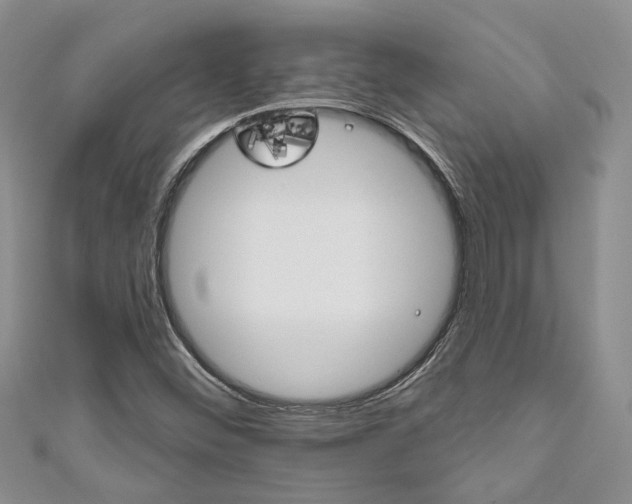 X0000111201452200907011020