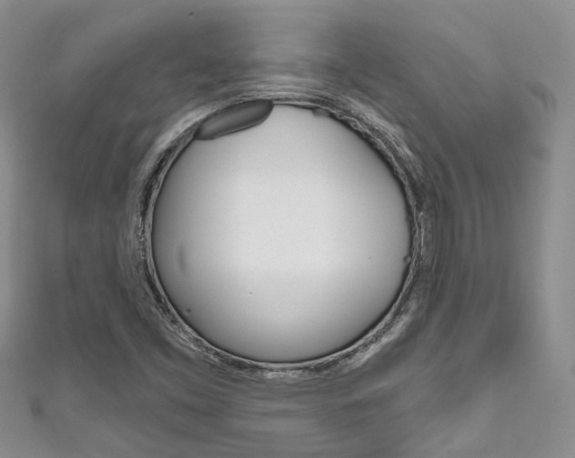 X0000111201453200907011020