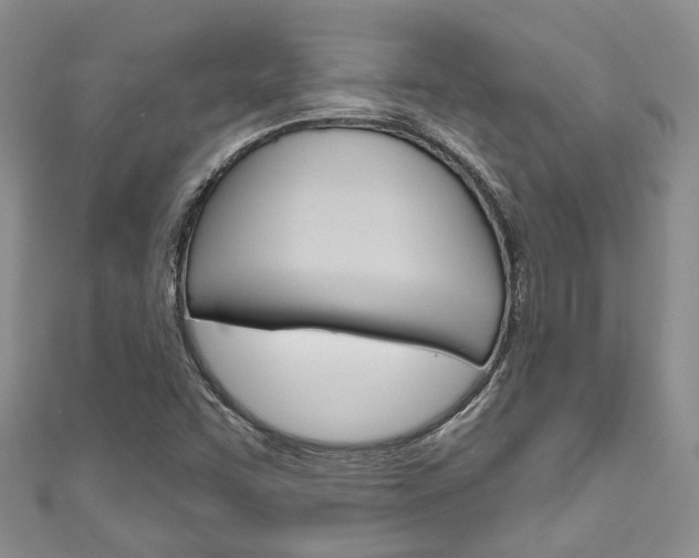 X0000111201455200907011020