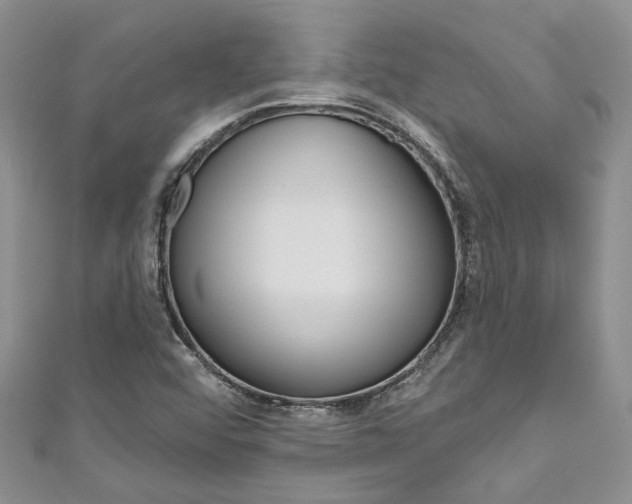 X0000111201456200907011020
