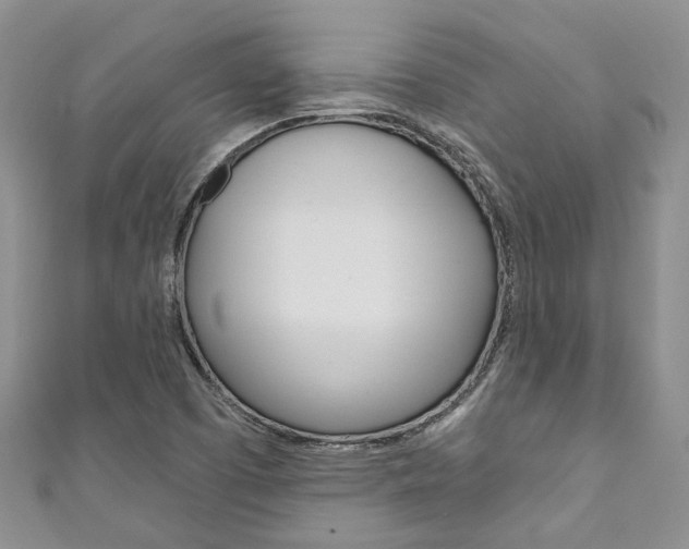 X0000111201457200907011020