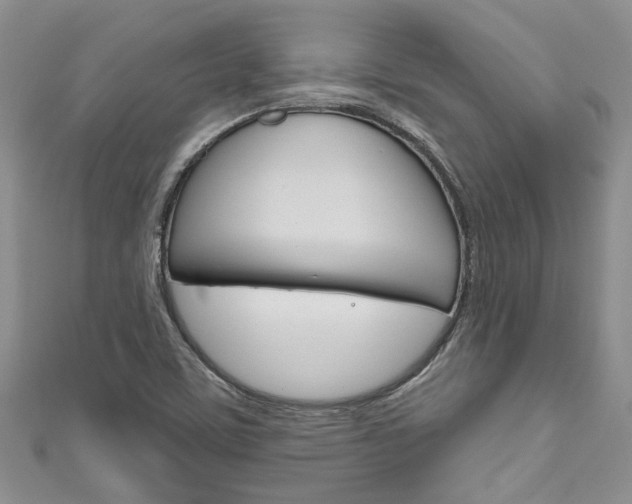 X0000111201459200907011020