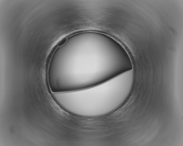 X0000111201460200907011020