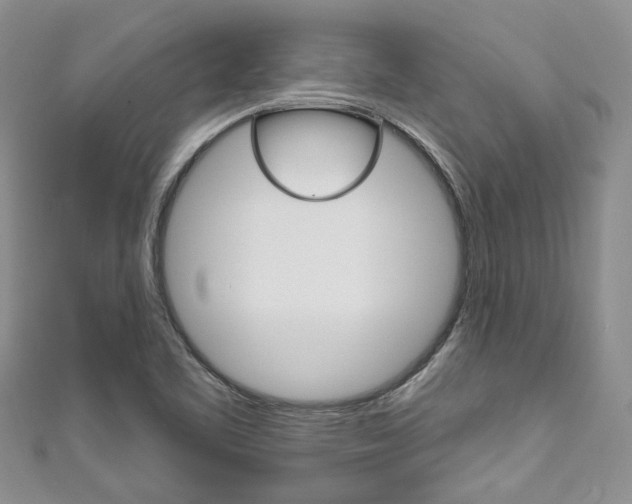 X0000111201461200907011020