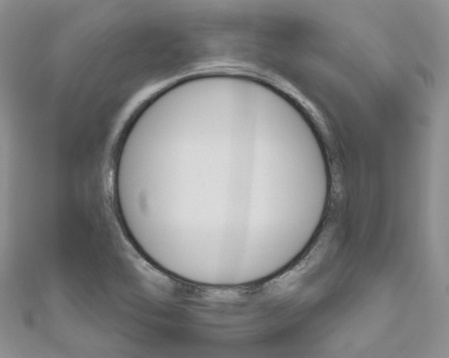 X0000111201462200907011020