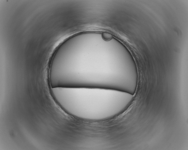 X0000111201463200907011020