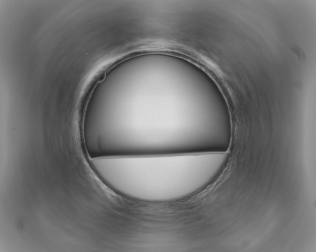 X0000111201464200907011020