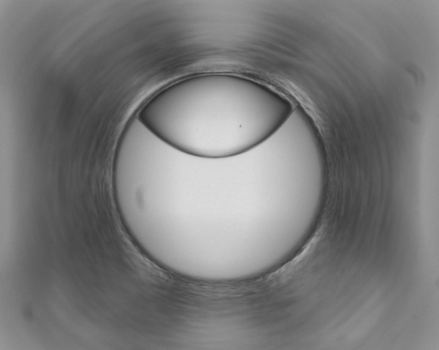 X0000111201465200907011020