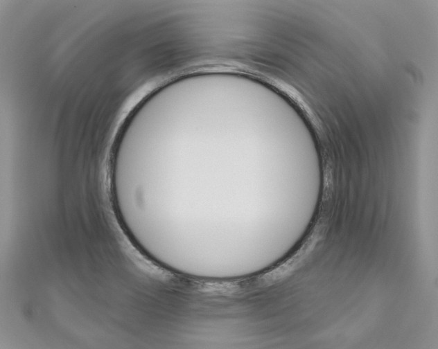 X0000111201466200907011020