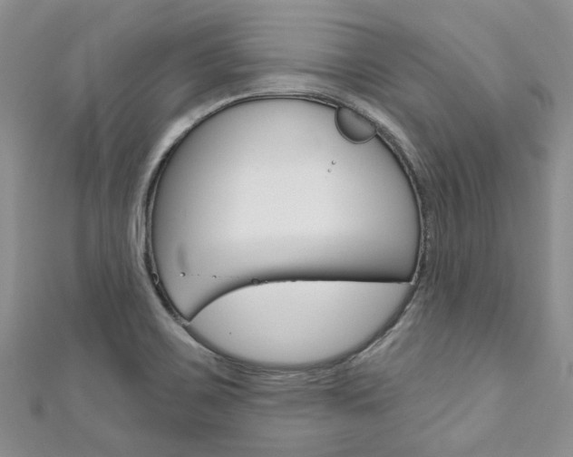 X0000111201467200907011020