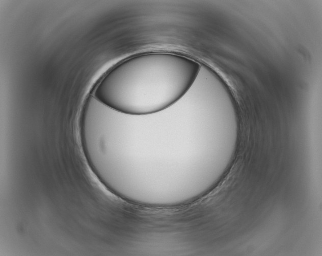 X0000111201468200907011019
