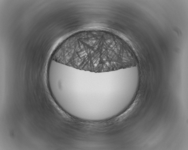 X0000111201469200907011019