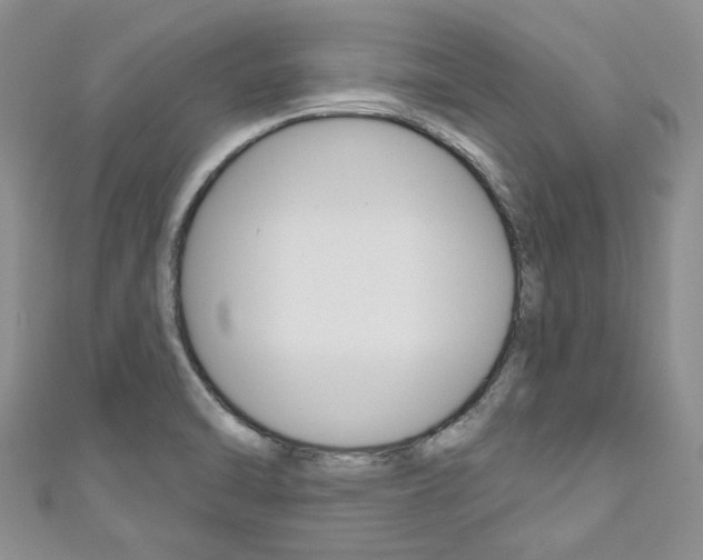 X0000111201470200907011019