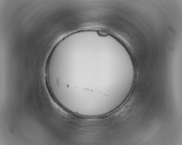 X0000111201471200907011019