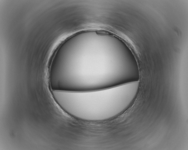 X0000111201472200907011019