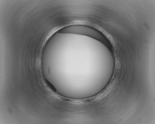 X0000111201473200907011019