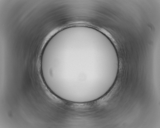 X0000111201474200907011019