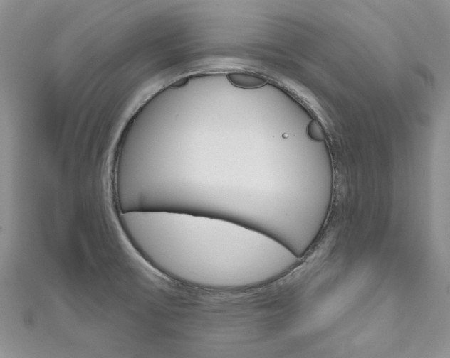 X0000111201475200907011019