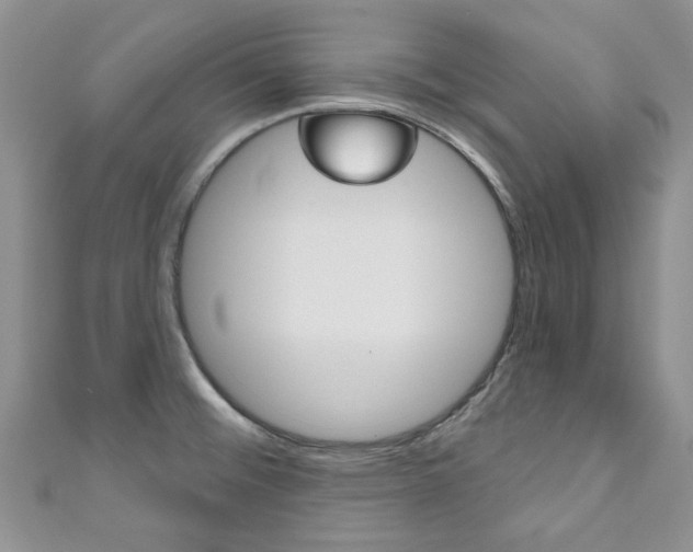 X0000111201476200907011019