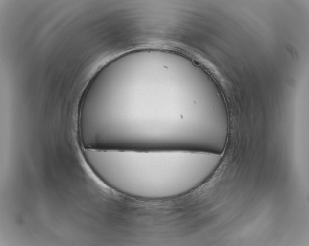 X0000111201479200907011019