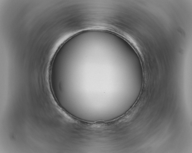 X0000111201480200907011019