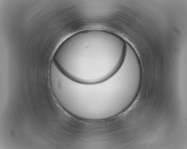 X0000111201481200907011019