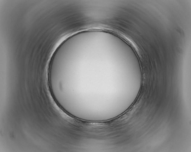 X0000111201483200907011019
