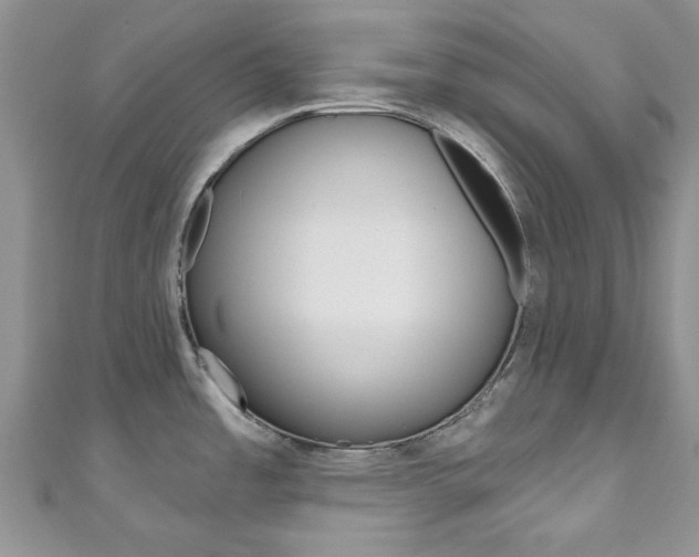 X0000111201485200907011019