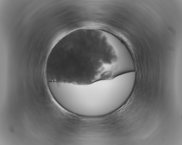 X0000111201487200907011019