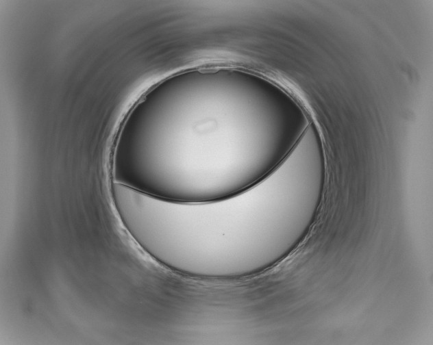 X0000111201488200907011019