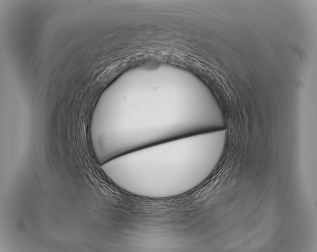 X0000111201489200907011019