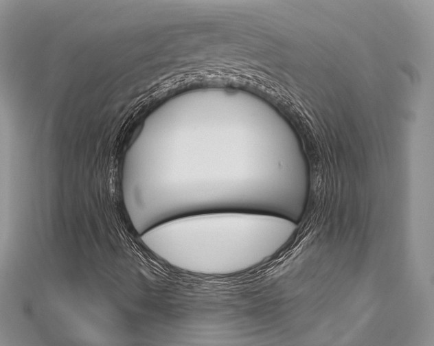 X0000111201490200907011019